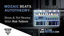 Pluginboutique mozaicbeats autotheory overview