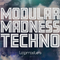 Modularmadness review
