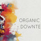 Bingoshakerz organic jazzy downtempo 2 review