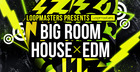 Big Room House & EDM