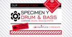 DLR - Specimen Y Drum & Bass