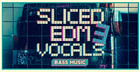 Sliced EDM Vocals Vol. 3