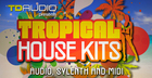 TD Audio presents Tropical House Kits