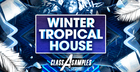 Winter Tropical House