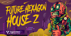 Future Hexagon House Vol 2