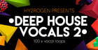 Hy2rogen – Deep House Vocals 2