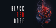 Producer loops black red rose banner