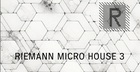 Riemann Micro House 3