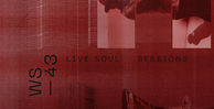 Wavetick live soul sessions banner