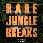 Onezero samples rare jungle breaks cover