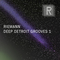 Riemann kollektion deep detroit grooves 1 cover