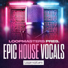 Royalty free vocal samples  house vocal loops  female vocal samples  vocal ensembles  female vocal adlibs  vocals for house music at loopmasters.com