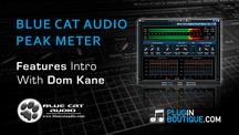 Pluginboutique blue cat audio digital peak meter overview