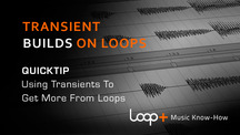Quicktips make using transient builds on loops