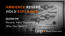 Quicktips ambience hold function explained