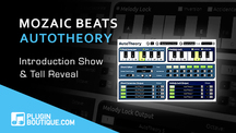 Pluginboutique ff using autotheory