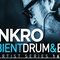 Synkro   ambient drum   bass review