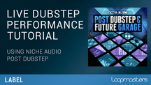 Lm labels niche audio post dubstep