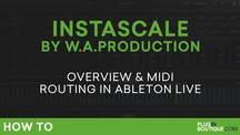 Pb jc instascale w.a.production
