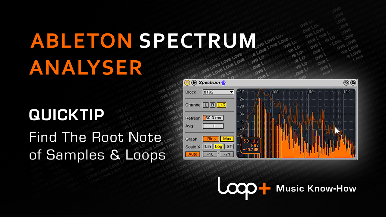 Finding the Root Key of any Loop, Sample, or One Shot - Loop+ Quick