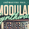 Modularsynthwave review