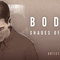 Bodhi review