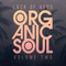 Looptone organic soul v2 review