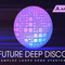 Future deep disco loops samples review