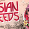 Singomakers asian seeds reviews