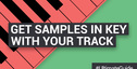 Get samples in key with your track