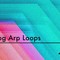 Analog arp loops bannerweb910