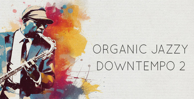 Bingoshakerz organic jazzy downtempo 2 review