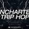 Trip hop drum loops  cinematic hip hop sounds  trip hop synth loops review