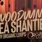 Royalty free folk samples  woodwind loops sea shanties samples review