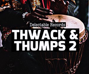 Loopmasters ta2 thwack and thumps 2 300