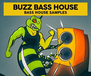Loopmasters 94dm buzz bass house samples 300x250 v7