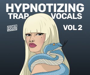 Loopmasters vr htv v2 300 x 250