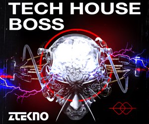 Loopmasters ztekno tech house boss underground techno nazarkin royalty free sounds ztekno best zteknoloops 300x250