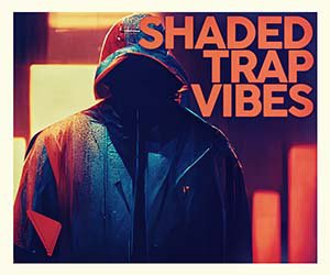 Loopmasters dabromusic moody trap vibes 300x250
