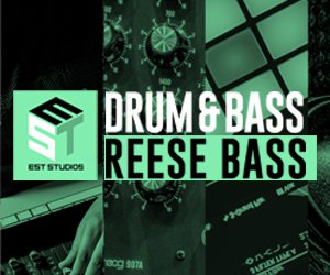 Loopmasters reese bass 300x250
