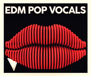 Loopmasters dabromusic edm pop vocals 300x250 v4