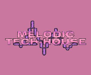 Loopmasters melodic techhouse product 7