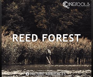 Loopmasters ct rf nature recording forest 300x250