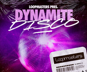 Loopmasters dd banner 300