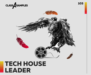 Loopmasters class a samples  tech house leader 300 250