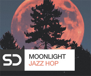 Loopmasters mjh banner 300
