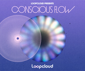 Loopmasters cf banner 300