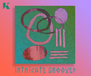 Loopmasters intricate grooves 250 300