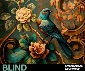 Loopmasters 5m 300x250
