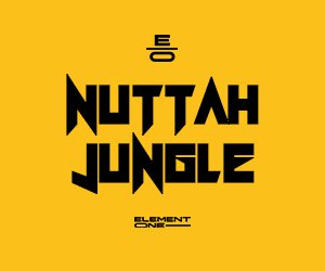Loopmasters nj 300x250